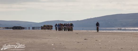 1779999_484378371661857_458067573_o