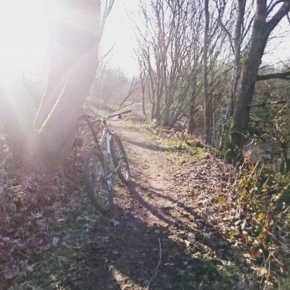 12819148_1545467489116604_1484067067_n