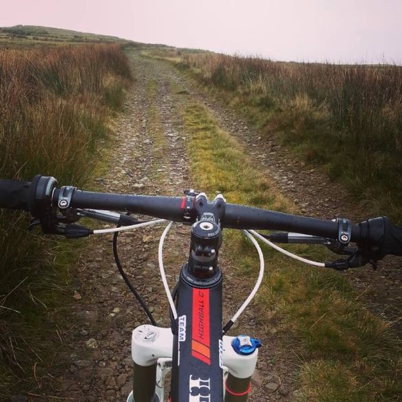 14681570_10154621788991528_4007736617118560165_n