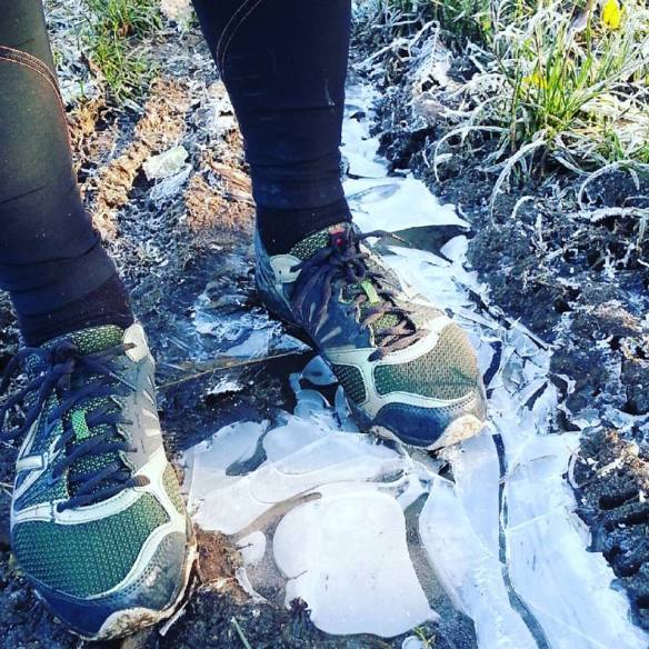 15232212_10154755040896528_6669201318226612113_n